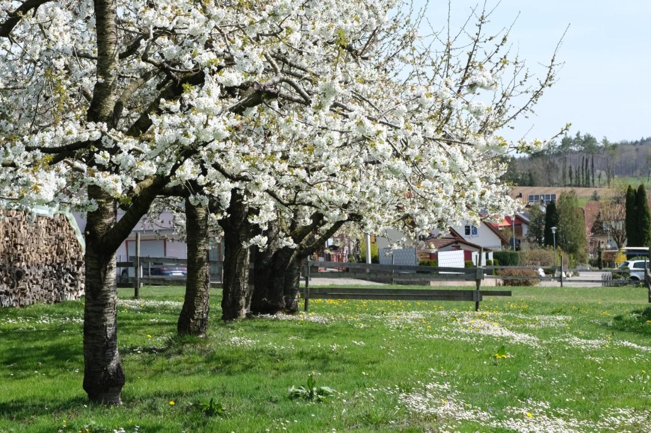 Ferienhof Schwehr سالم المظهر الخارجي الصورة